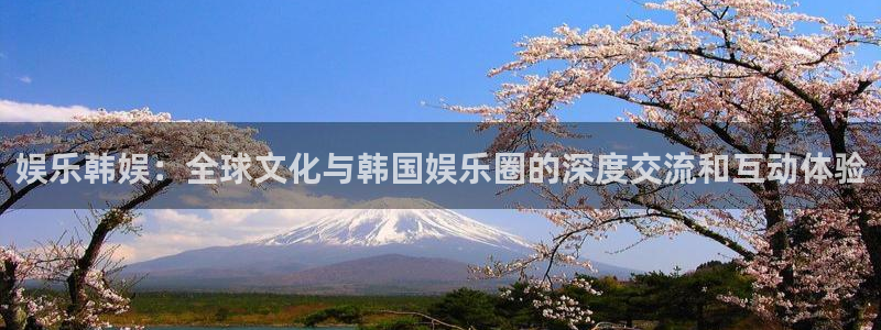顺盈娱乐：娱乐韩娱：全球文化与韩国娱乐圈的深度交流和互动体验