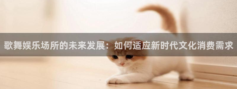 顺盈娱乐