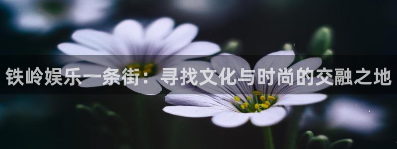顺盈娱乐