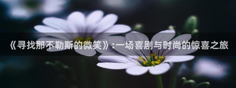 顺盈娱乐