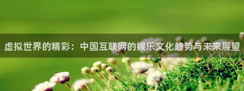 顺盈娱乐