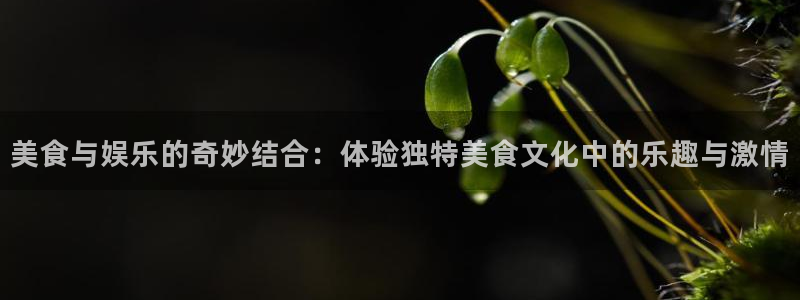 顺盈娱乐