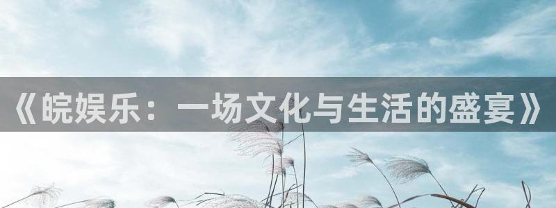 顺盈娱乐：《皖娱乐：一场文化与生活的盛宴》