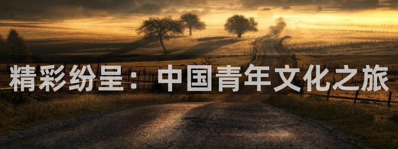 顺盈娱乐：精彩纷呈：中国青年文化之旅