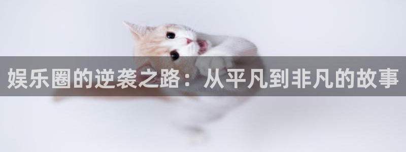 顺盈娱乐