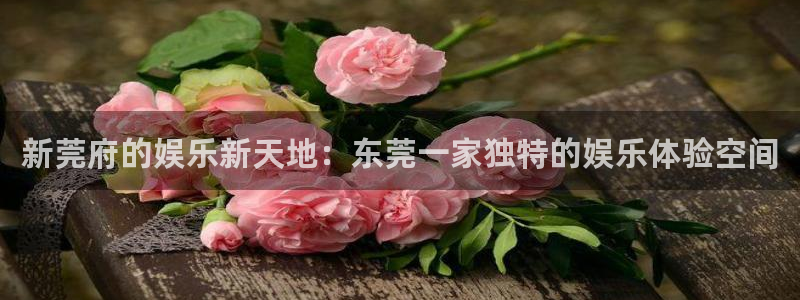 顺盈娱乐：新莞府的娱乐新天地：东莞一家独特的娱乐体验空间