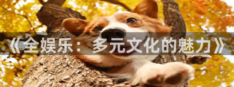 顺盈娱乐：《全娱乐：多元文化的魅力》