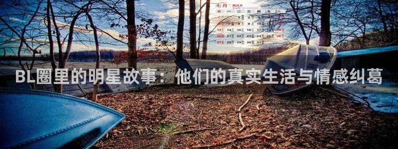 顺盈娱乐：BL圈里的明星故事：他们的真实生活与情感纠葛