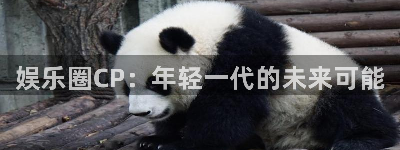 顺盈娱乐：娱乐圈CP：年轻一代的未来可能
